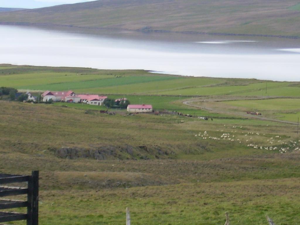 Stekkjardalur Holiday Home Svínavatn Eksteriør billede